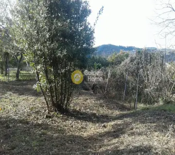 Parcel 1000m<sup>2</sup> for sale photo 2623211