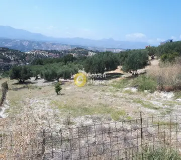 Residential 585m<sup>2</sup> for sale photo 1