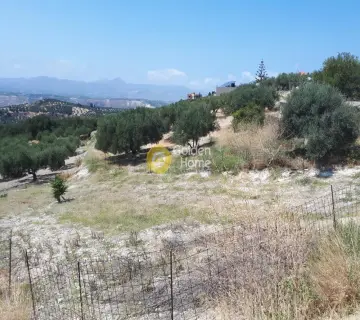 Residential 585m<sup>2</sup> for sale photo 4
