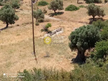 Residential 10500m<sup>2</sup> for sale photo 1