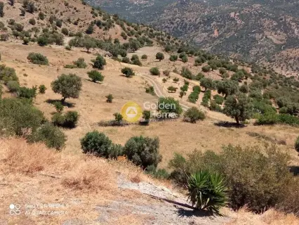 Residential 10500m<sup>2</sup> for sale photo 9