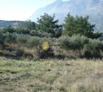 Residential 1245m<sup>2</sup> for sale photo 11