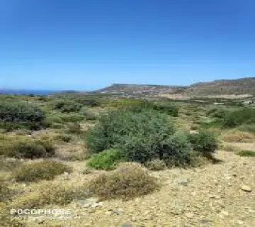 Area 26573m<sup>2</sup> for sale photo 2