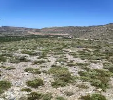 Area 26573m<sup>2</sup> for sale photo 12