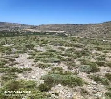 Area 26573m<sup>2</sup> for sale photo 9