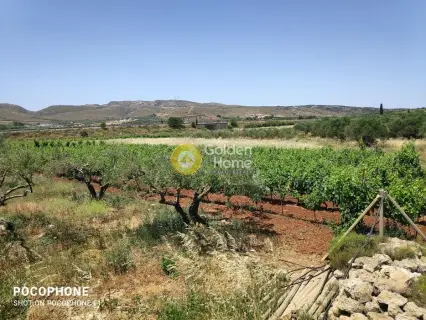 Golden Home Property Image