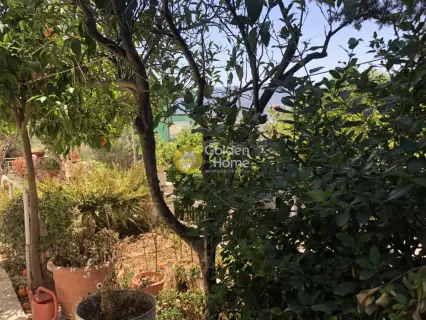 Μονοκατοικία 120τ.μ. προς πώληση φωτογραφία 6