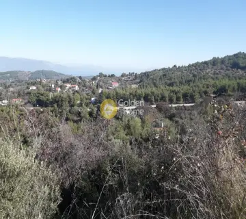 Αγροτεμάχιο 1585τ.μ. προς πώληση φωτογραφία 2634021