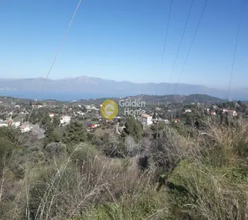 Αγροτεμάχιο 1300τ.μ. προς πώληση φωτογραφία 2634068