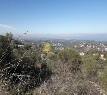 Αγροτεμάχιο 1300τ.μ. προς πώληση φωτογραφία 2634069