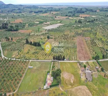 Golden Home Property Image