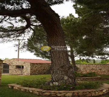 Μονοκατοικία 120τ.μ. προς πώληση φωτογραφία 27