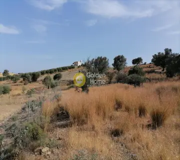 Parcel 2400m<sup>2</sup> for sale photo 6
