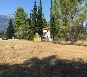 Residential 1600m<sup>2</sup> for sale photo 1