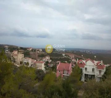 Οικιστικό 1000τ.μ. προς πώληση φωτογραφία 4