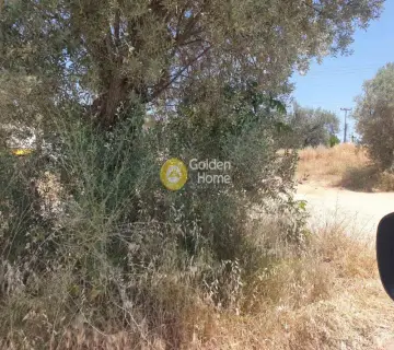 Professional Plot 13000m<sup>2</sup> for rent photo 8