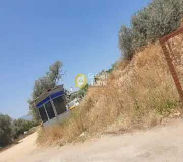 Professional Plot 13000m<sup>2</sup> for rent photo 10