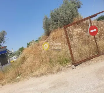 Professional Plot 13000m<sup>2</sup> for rent photo 11