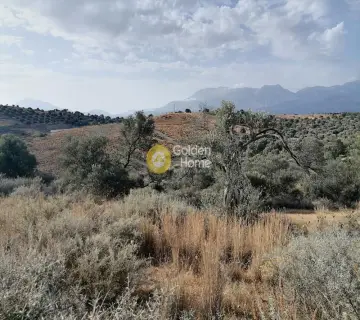 Parcel 1832m<sup>2</sup> for sale photo 7