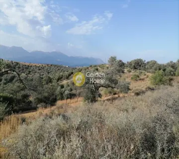 Parcel 1832m<sup>2</sup> for sale photo 8
