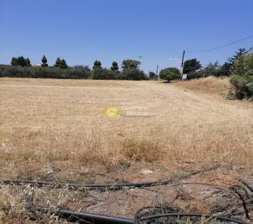 Residential 7000m<sup>2</sup> for sale photo 3