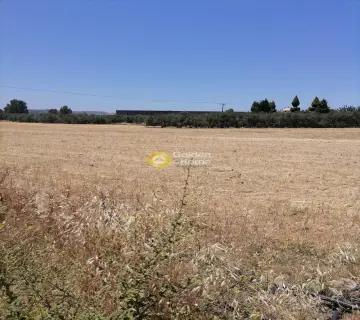 Residential 7000m<sup>2</sup> for sale photo 5