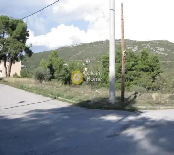 Οικιστικό 1550τ.μ. προς πώληση φωτογραφία 2636676