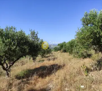 Residential 4972m<sup>2</sup> for sale photo 9