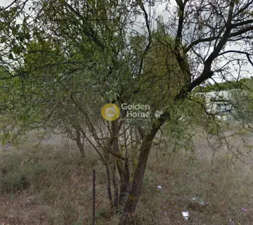Parcel 344m<sup>2</sup> for sale photo 4