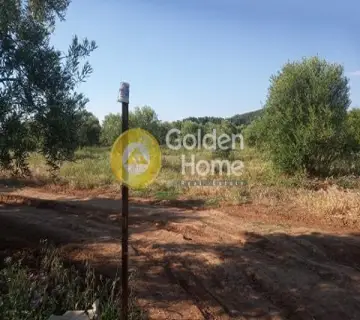 Parcel 5370m<sup>2</sup> for sale photo 2