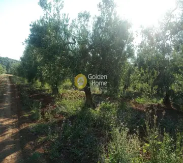 Parcel 5370m<sup>2</sup> for sale photo 5