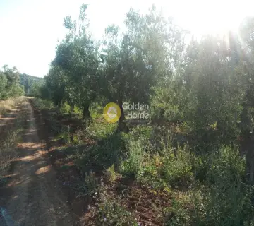 Parcel 5370m<sup>2</sup> for sale photo 6