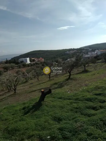 Οικιστικό 2000τ.μ. προς πώληση φωτογραφία 3