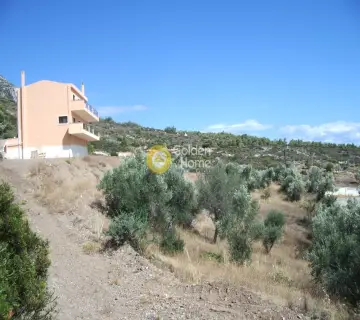 House 240m<sup>2</sup> for sale photo 8