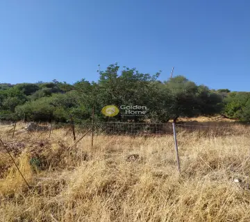Residential 3300m<sup>2</sup> for sale photo 4