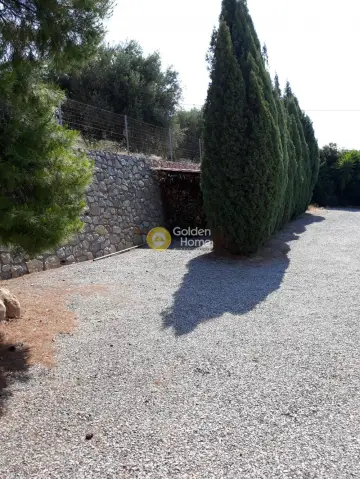 House 350m<sup>2</sup> for sale photo 53