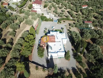 House 350m<sup>2</sup> for sale photo 4