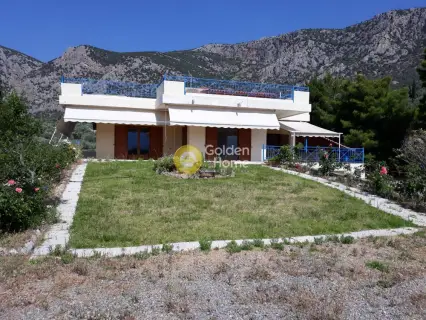 House 350m<sup>2</sup> for sale photo 9
