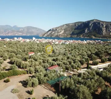 Golden Home Property Image