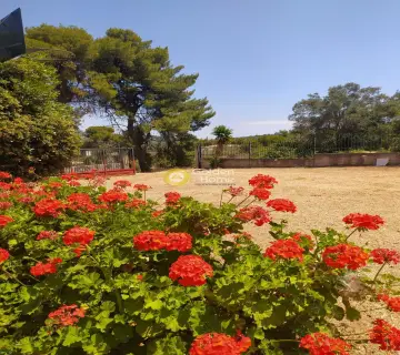 Residence complex 360m<sup>2</sup> for sale photo 15