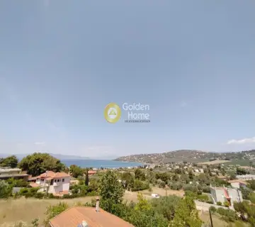 Residence complex 360m<sup>2</sup> for sale photo 83