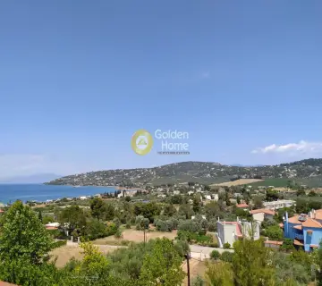 Residence complex 360m<sup>2</sup> for sale photo 2900014