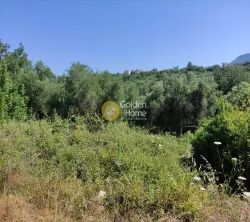 Residential 2154m<sup>2</sup> for sale photo 1