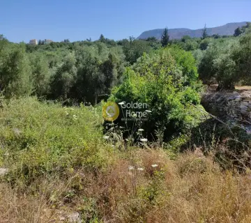 Residential 2154m<sup>2</sup> for sale photo 4
