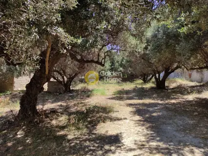 Residential 826m<sup>2</sup> for sale photo 7