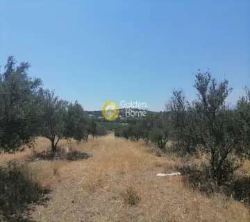 Residential 14924m<sup>2</sup> for sale photo 3