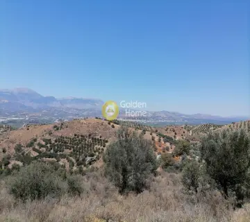 Residential 6800m<sup>2</sup> for sale photo 19