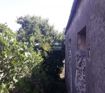 Residential 500m<sup>2</sup> for sale photo 24