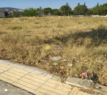 Οικιστικό 832τ.μ. προς πώληση φωτογραφία 3