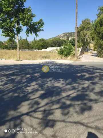 Επαγγελ. Οικόπεδο 832τ.μ. προς πώληση φωτογραφία 3